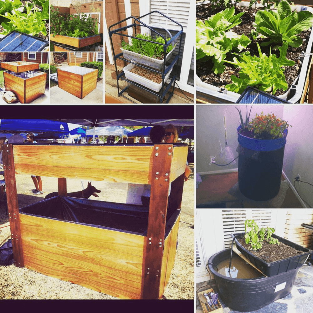 Aquaponics builds