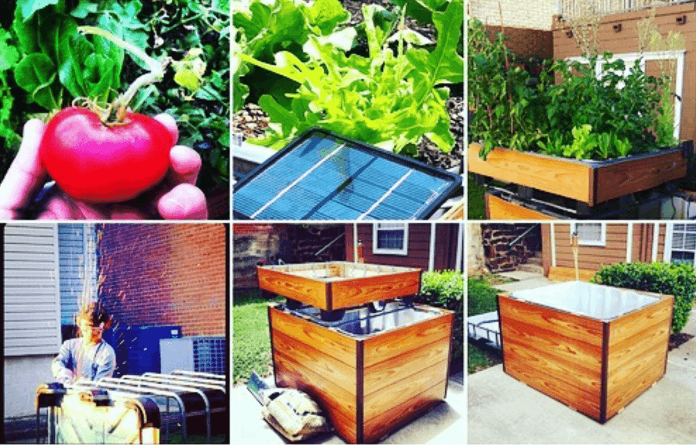 Aquaponics garden system