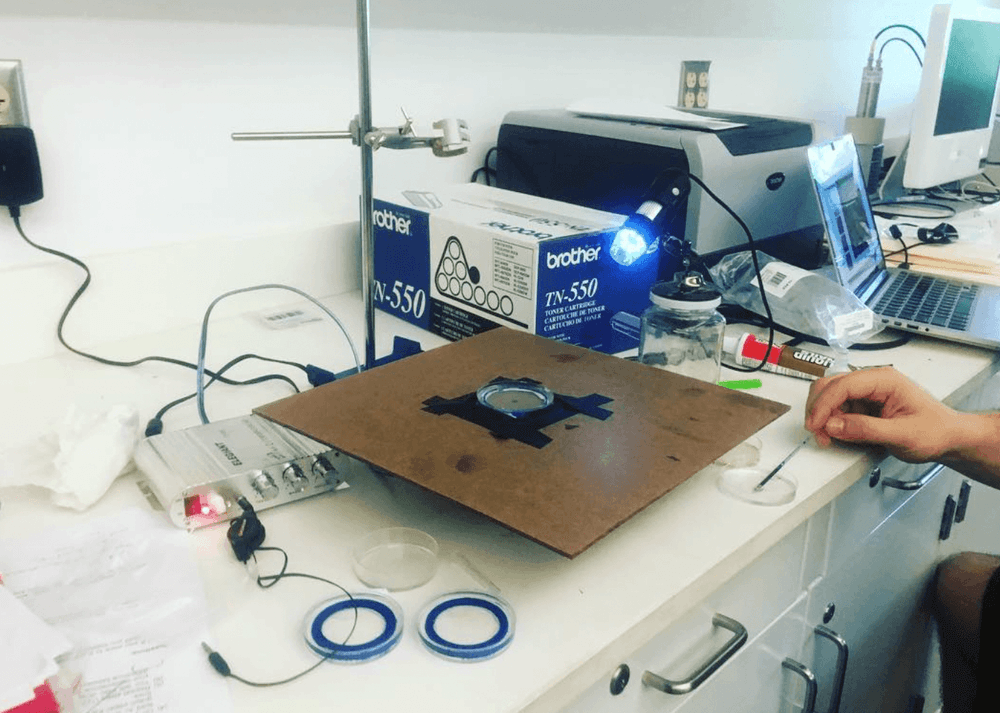Pilot wave theory experiment setup
